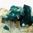 Dioptase on Calcite - image 6
