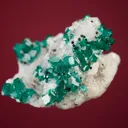 Dioptase on Calcite - image 4