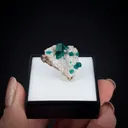 Dioptase on Calcite - image 2