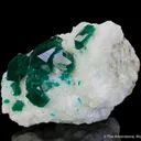 Dioptase on Calcite - image 3