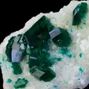 Dioptase on Calcite - image 2