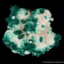Dioptase on Calcite - image 2