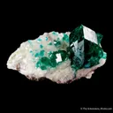 Dioptase on Calcite - image 4