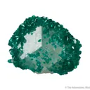 Dioptase on Calcite - image 2