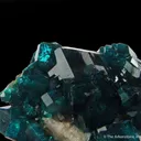 Dioptase on Calcite - image 3