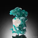 Dioptase on Calcite - image 2