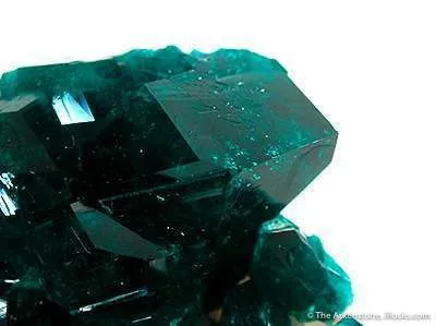 Dioptase on Calcite - image 2