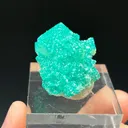 Dioptase on Calcite - image 1