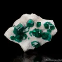 Dioptase on Calcite - image 1