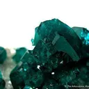 Dioptase on Calcite - image 2