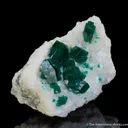 Dioptase on Calcite - image 4