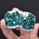 Dioptase on Calcite - image 2
