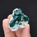 Dioptase on Calcite - image 2