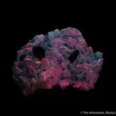 Dioptase on Calcite - image 4