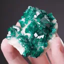 Dioptase on Calcite - image 2