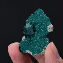Dioptase on Calcite - image 2