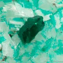 Dioptase on Calcite - image 3