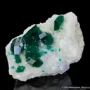 Dioptase on Calcite - image 1