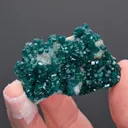 Dioptase on Calcite - image 2