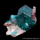 Dioptase on Calcite - image 4
