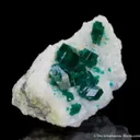Dioptase on Calcite - image 5