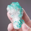 Dioptase on Calcite - image 2