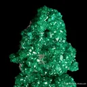 Dioptase on Calcite - image 5