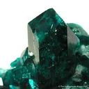 Dioptase on Calcite - image 2