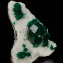 Dioptase on Calcite - image 4