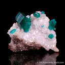 Dioptase on Calcite - image 1