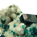 Dioptase on Calcite - image 3
