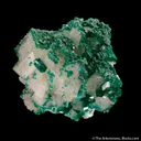 Dioptase on Calcite - image 1