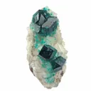 Dioptase on Calcite (fluor.) - image 6