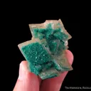 Dioptase on Calcite (fluorescent) - image 4