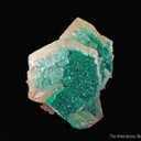 Dioptase on Calcite (fluorescent) - image 3