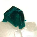 Dioptase on Calcite Rhombohedron - image 2