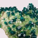 Dioptase on Calcite with Duftite - image 6
