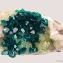 Dioptase on Calcite with Duftite - image 3