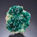 Dioptase on Calcite with Duftite - image 1