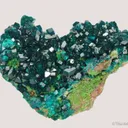 Dioptase on Calcite with Duftite - image 5