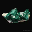 Dioptase on Calcite with Duftite - image 4