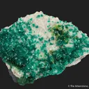 Dioptase on Calcite, with Duftite - image 5