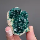 Dioptase on Calcite with Duftite - image 2