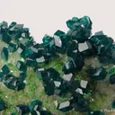 Dioptase on Calcite with Duftite - image 2