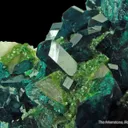 Dioptase on Calcite, with Duftite - image 2