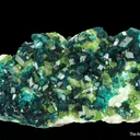 Dioptase on Calcite, with Duftite - image 6