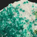 Dioptase on Calcite, with Duftite - image 4