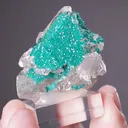 Dioptase on Cerussite - image 2