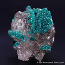 Dioptase on Cerussite - image 1