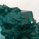 Dioptase on Chrysocolla - image 3
